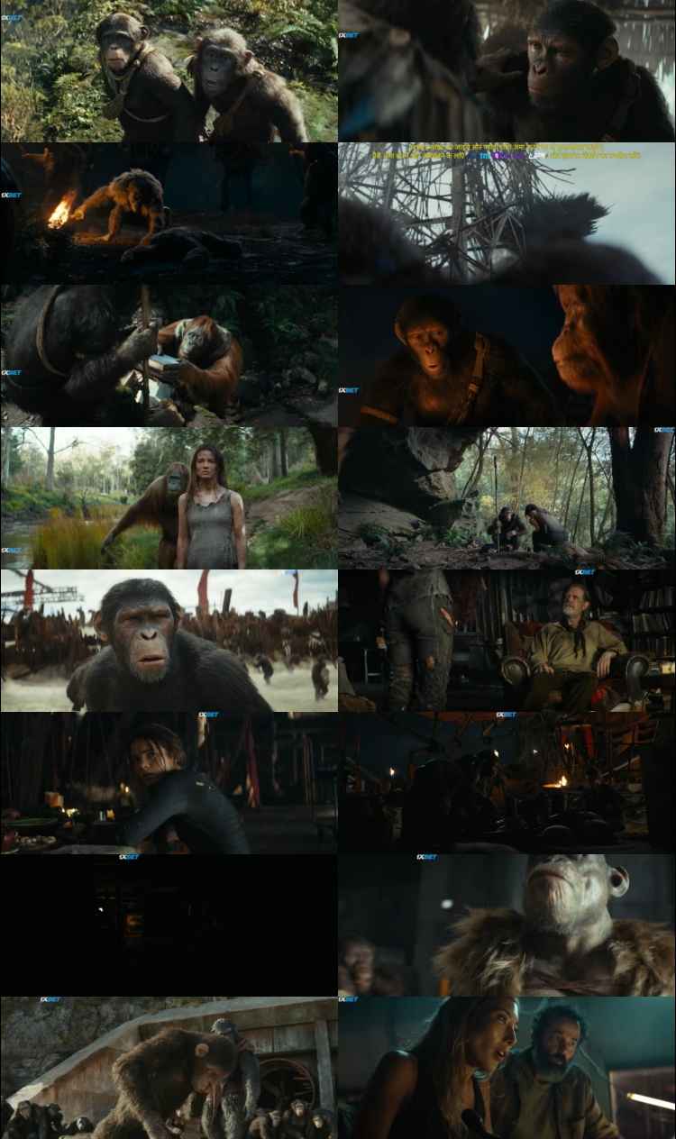 Kingdom of the Planet of the Apes 2024 Hindi ORG Dual Audio Movie DD5.1 1080p 720p 480p Web-DL ESubs x264 HEVC Kingdom of the Planet of the Apes 2024 Hindi ORG Dual Audio Movie DD5.1 1080p 720p 480p Web-DL ESubs x264 HEVC