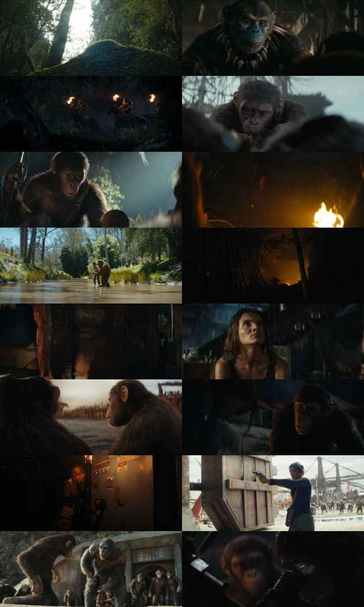 Kingdom of the Planet of the Apes 2024 Hindi ORG Dual Audio Movie DD5.1 1080p 720p 480p Web-DL ESubs x264 HEVC Kingdom of the Planet of the Apes 2024 Hindi ORG Dual Audio Movie DD5.1 1080p 720p 480p Web-DL ESubs x264 HEVC