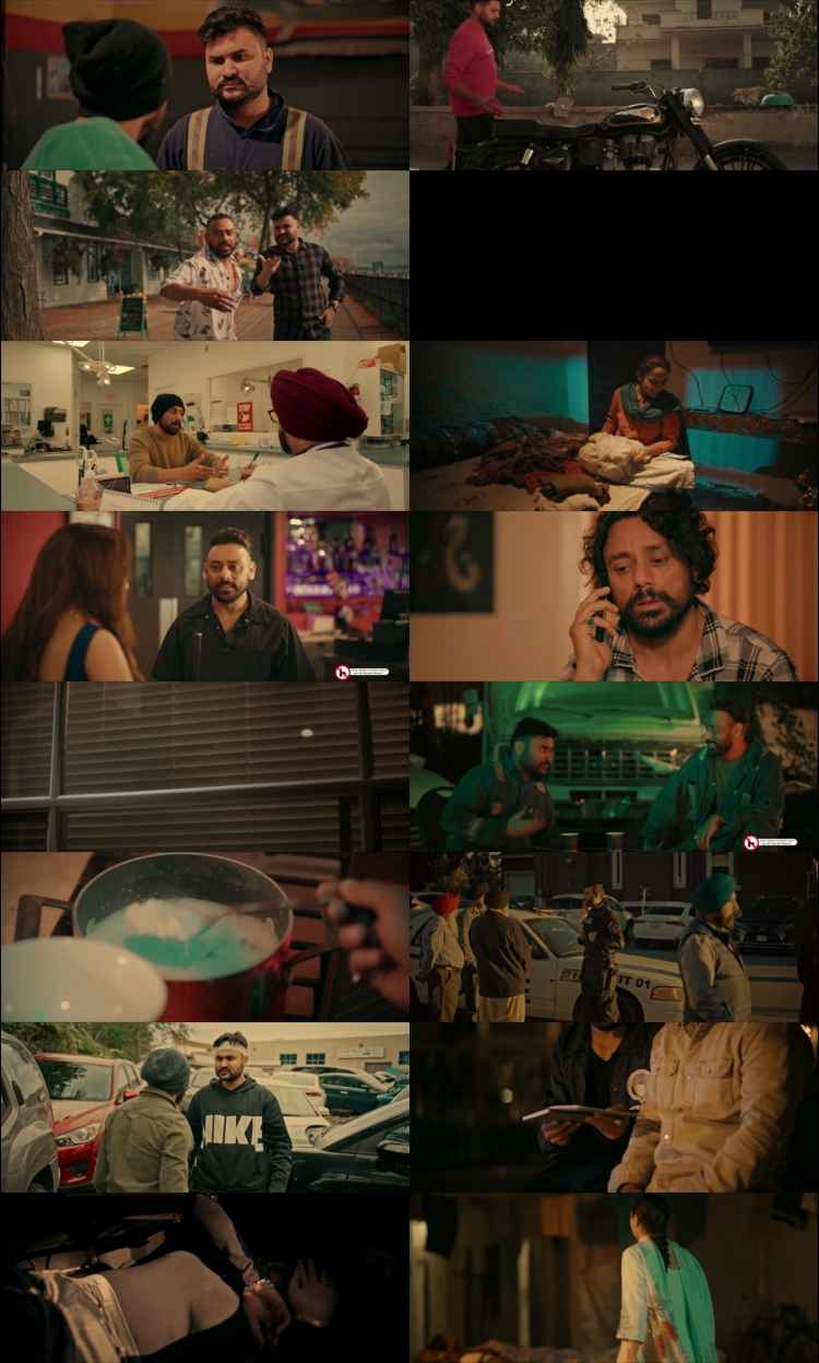 Alzheimer 2024 Punjabi Movie 1080p 720p 480p HDRip ESubs HEVC