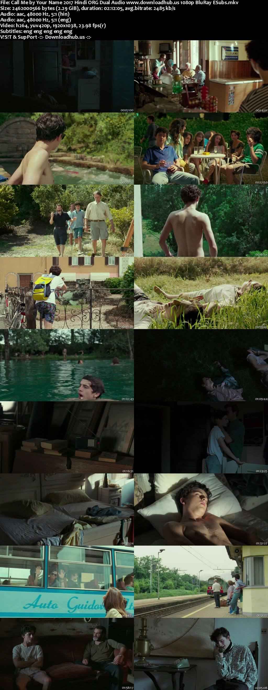 Call Me by Your Name 2017 Hindi ORG Dual Audio Movie DD5.1 1080p 720p 480p BluRay ESubs x264 HEVC