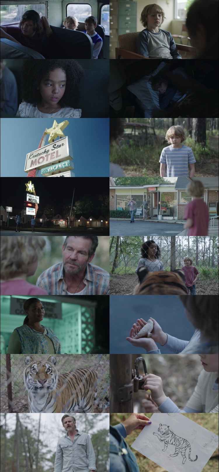 The Tiger Rising 2022 Hindi ORG Dual Audio Movie DD5.1 1080p 720p 480p BluRay ESubs x264 HEVC