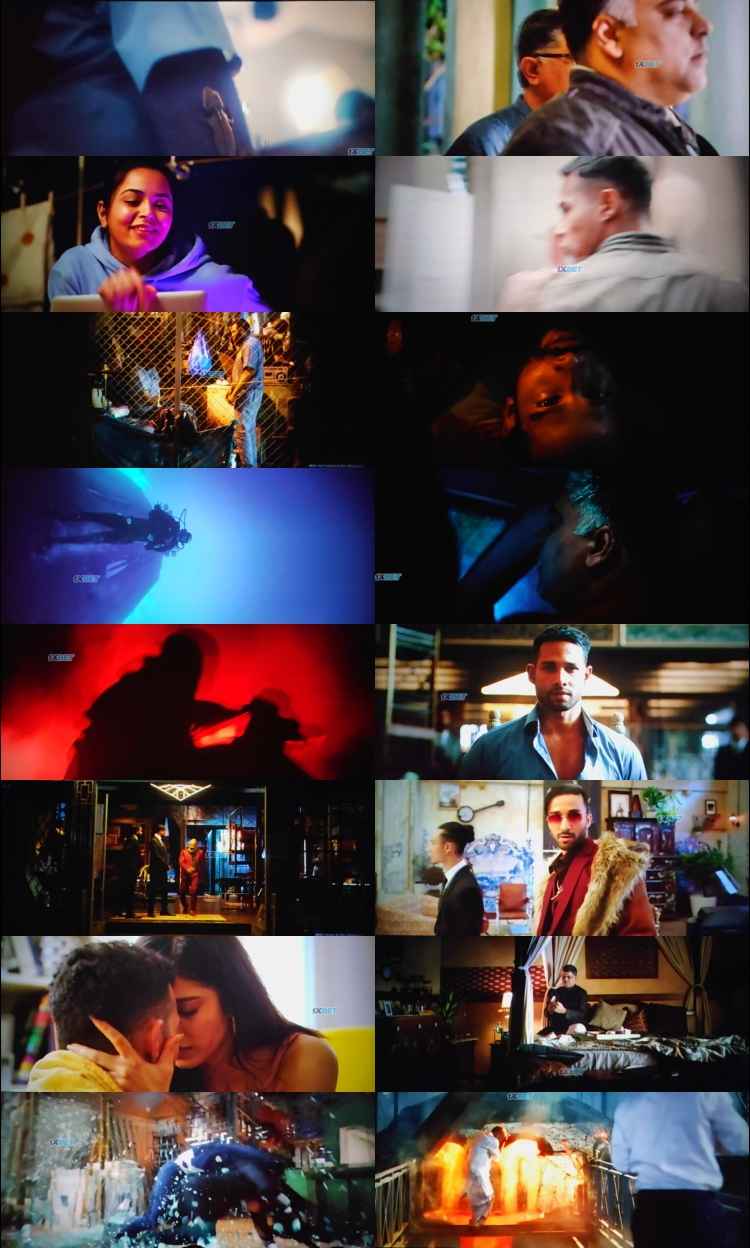 Yudhra 2024 Hindi Movie 1080p 720p 480p Pre-DVDRip x264 Yudhra 2024 Hindi Movie 1080p 720p 480p Pre-DVDRip x264