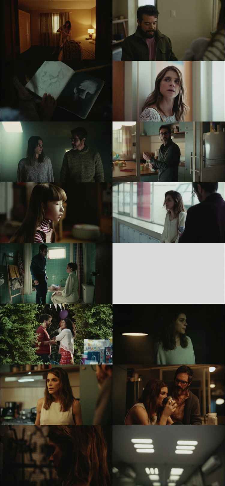 The Diary 2024 Hindi ORG Dual Audio Movie DD5.1 4k 1080p 720p 480p Web-DL ESubs x264 HEVC