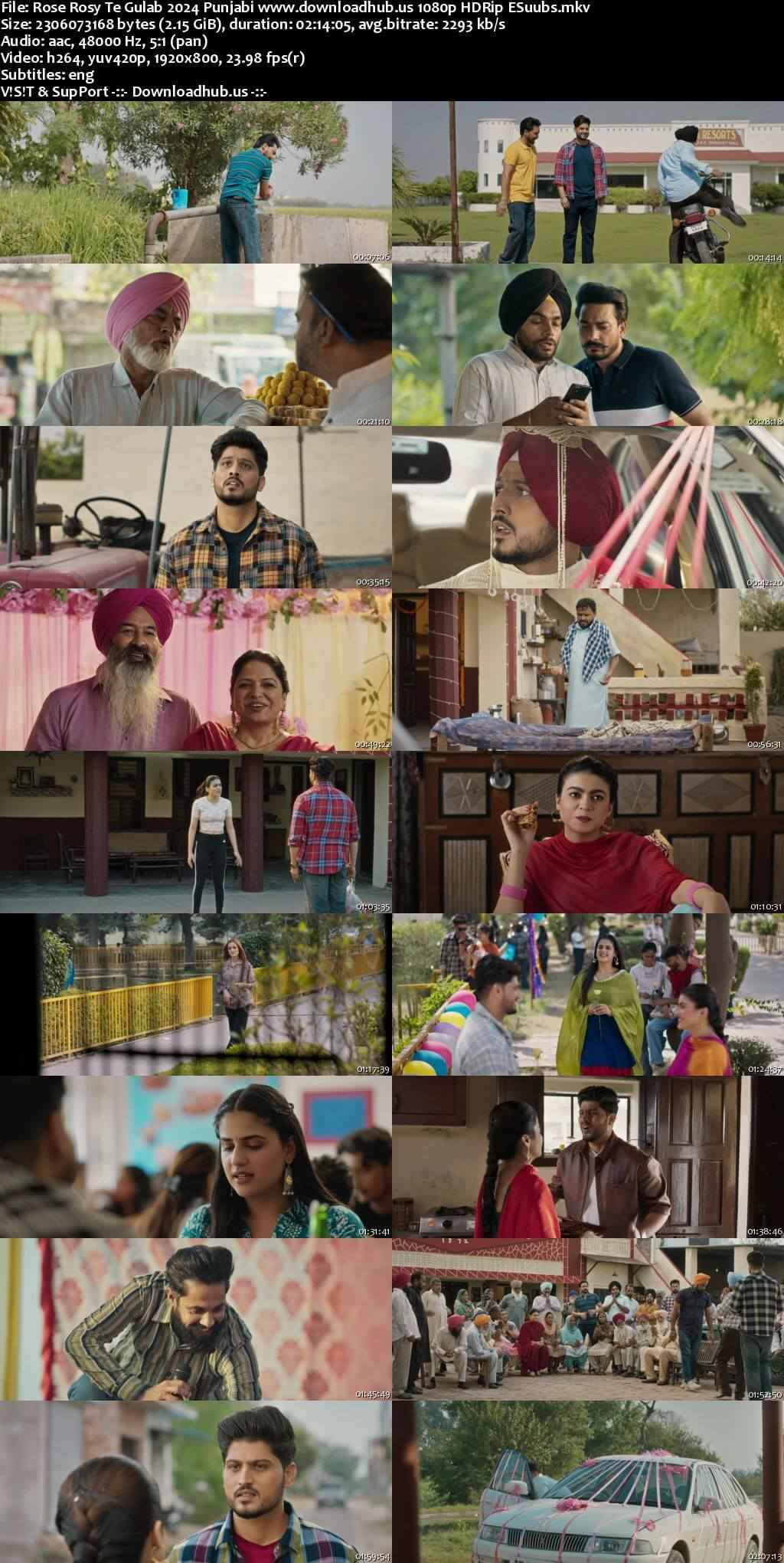 Rose Rosy Te Gulab 2024 Punjabi DD5.1 Movie 4k 1080p 720p 480p HDRip ESubs HEVC Rose Rosy Te Gulab 2024 Punjabi DD5.1 Movie 4k 1080p 720p 480p HDRip ESubs HEVC