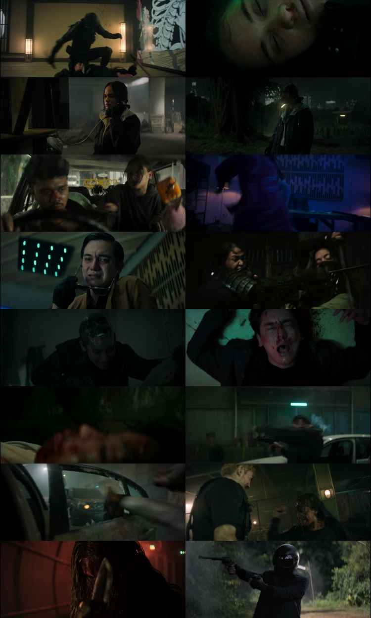 The Shadow Strays 2024 Hindi ORG Dual Audio Movie DD5.1 4k 1080p 720p 480p Web-DL ESubs x264 HEVC