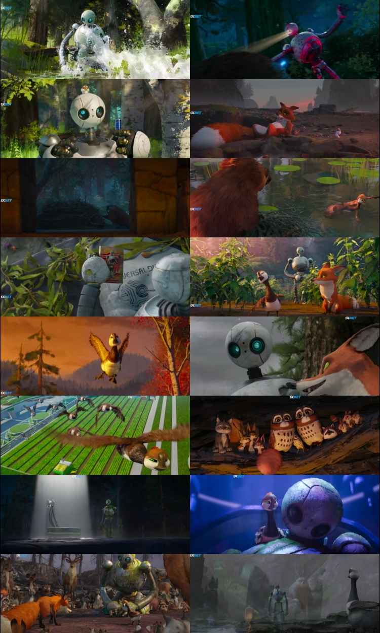 Watch The Wild Robot 2024 Hindi (Cleaned) Dual Audio Movie DD2.0 1080p 720p 480p Web-DL x264 HEVC