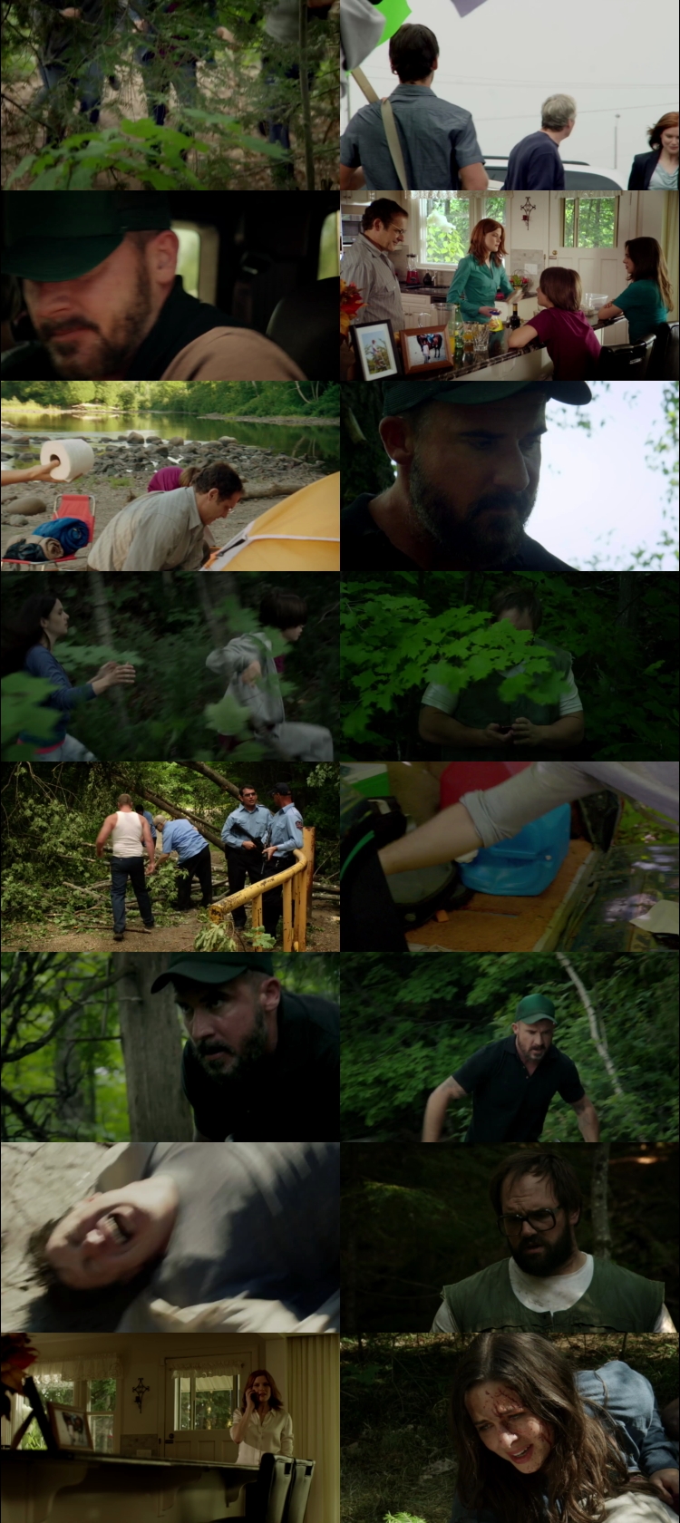 d6243a75c7c7513cae8b8a71249e9840