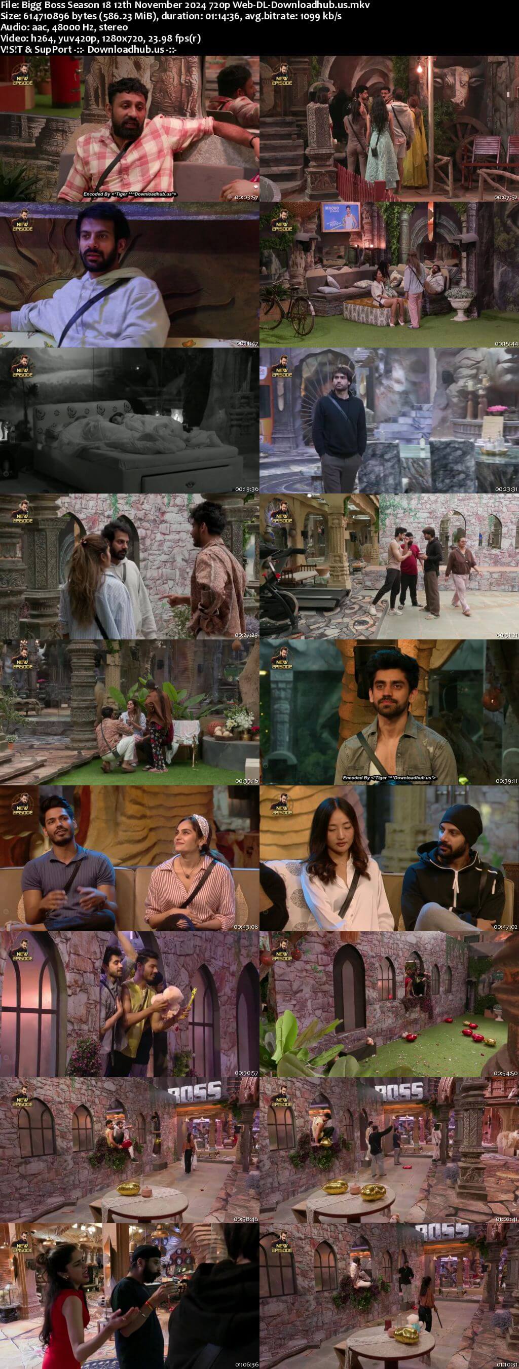 Bigg Boss Season 18 12 November 2024 Episode 38 Web-DL 720p 480p