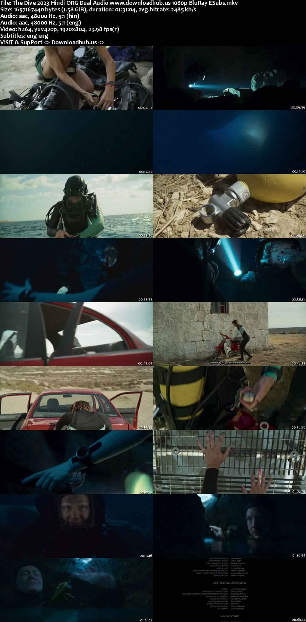 The Dive 2023 Hindi ORG Dual Audio Movie DD5.1 1080p 720p 480p BluRay ESubs x264 HEVC The Dive 2023 Hindi ORG Dual Audio Movie DD5.1 1080p 720p 480p BluRay ESubs x264 HEVC