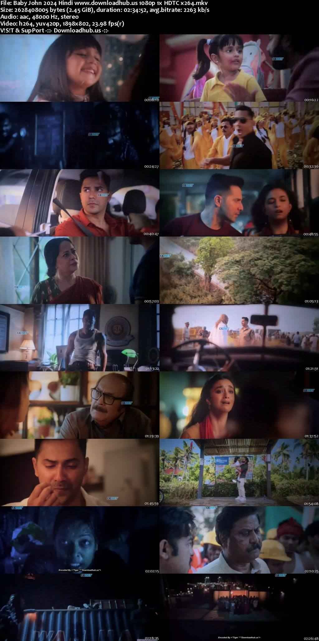 Baby John 2024 Hindi Movie 1080p 720p 480p HDTC x264 HEVC