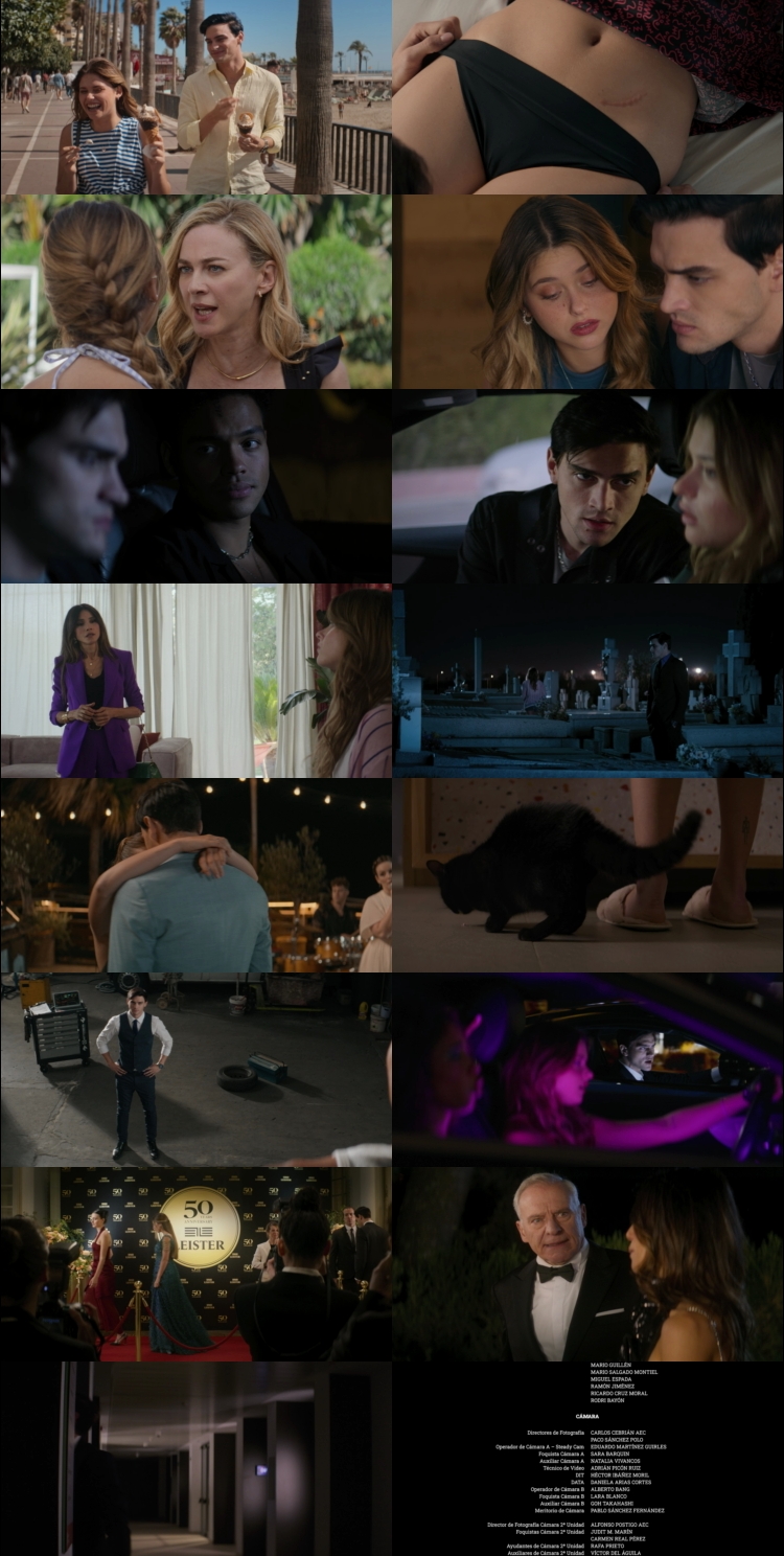 Your Fault 2024 Hindi ORG Dual Audio Movie DD5.1 4k 1080p 720p 480p Web-DL ESubs x264 HEVC