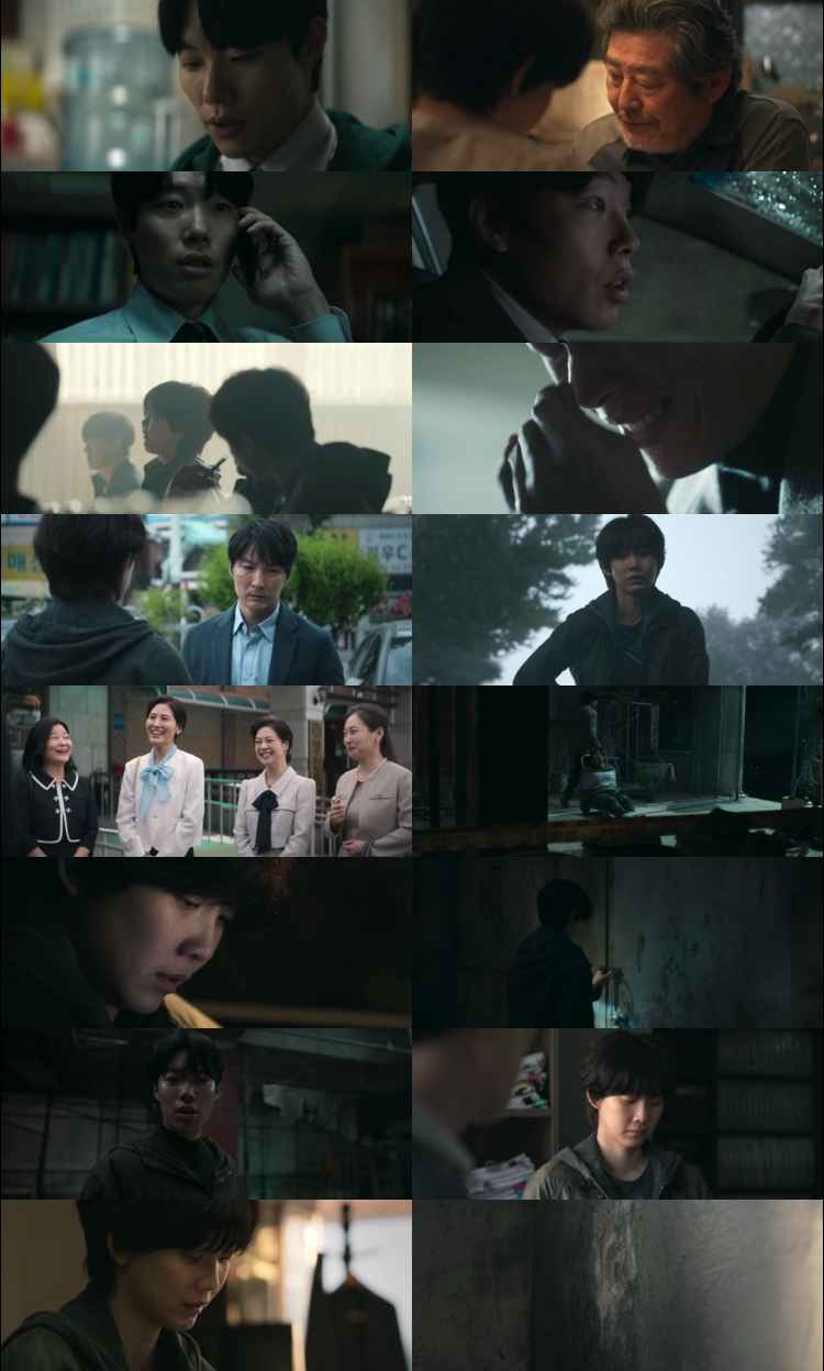 The Twister Caught in the Storm 2025 Hindi ORG Dual Audio Movie DD5.1 1080p 720p 480p Web-DL x264 HEVC