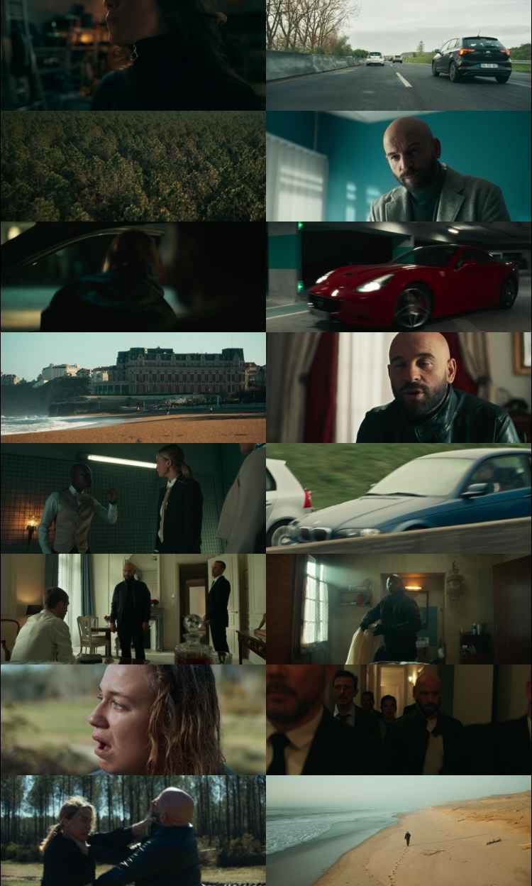 The Twister Caught in the Storm 2025 Hindi ORG Dual Audio Movie DD5.1 1080p 720p 480p Web-DL x264 HEVC The Twister Caught in the Storm 2025 Hindi ORG Dual Audio Movie DD5.1 1080p 720p 480p Web-DL x264 HEVC