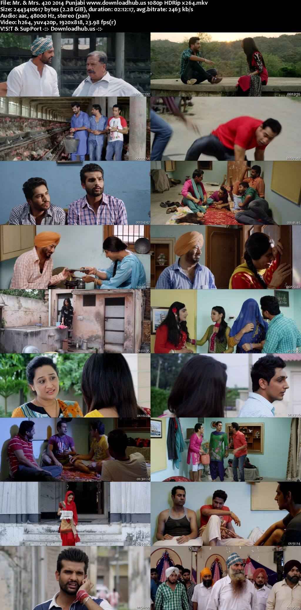 Mr. & Mrs. 420 2014 Punjabi Movie DD2.0 1080p 720p 480p HDRip x264 HEVC