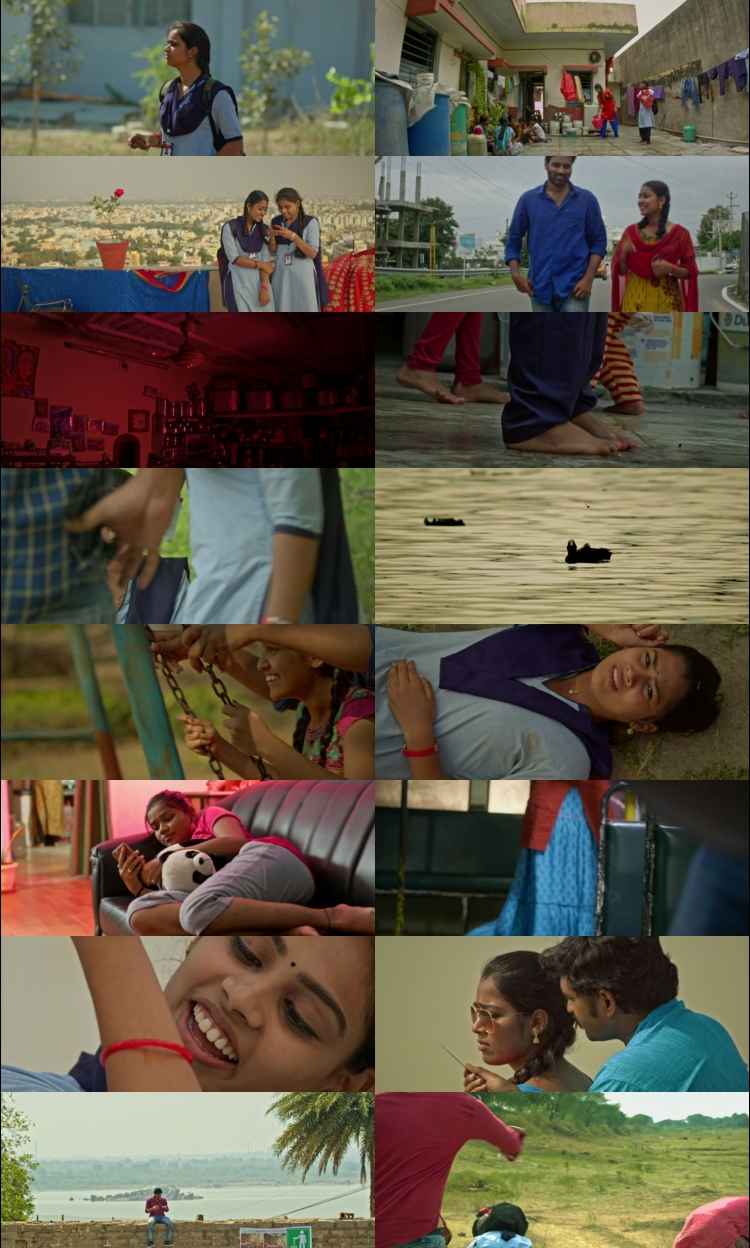 Preminchoddu 2024 Hindi Movie 1080p 720p 480p HDRip x264 HEVC