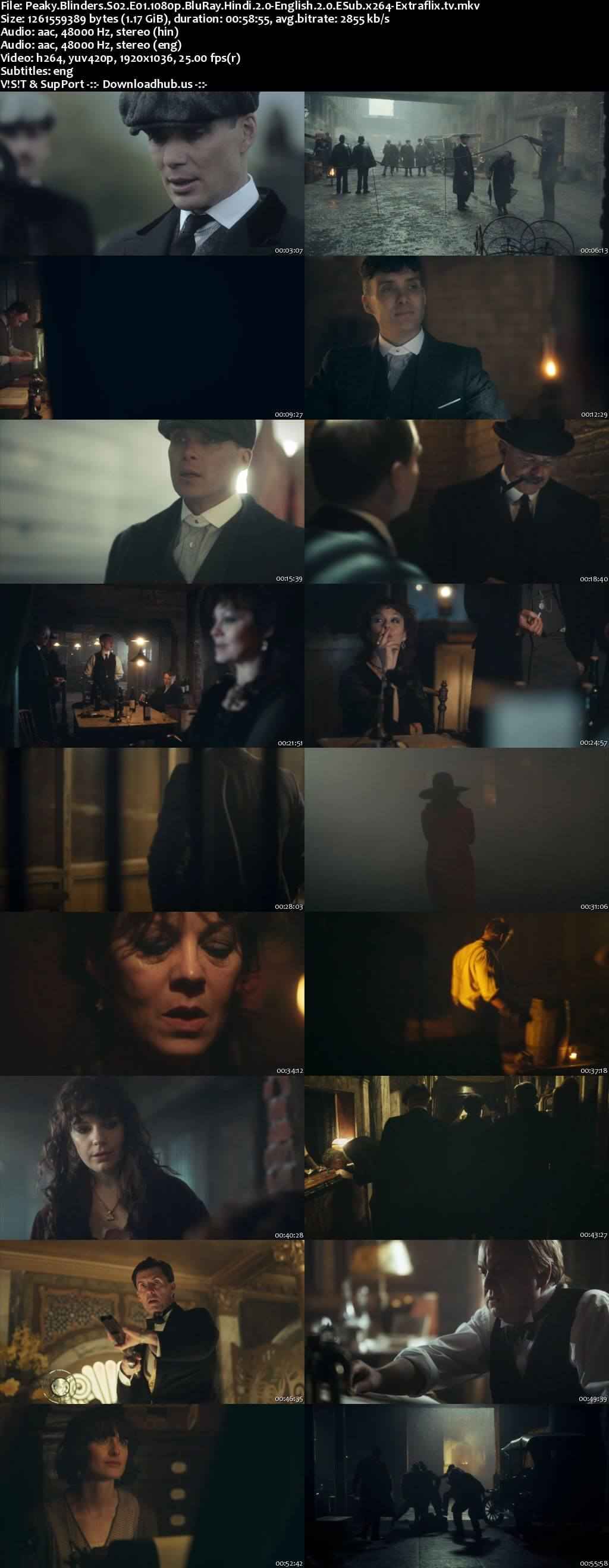 Peaky Blinders 2014 S02 Complete Hindi Dual Audio 1080p 720p 480p BluRay ESubs
