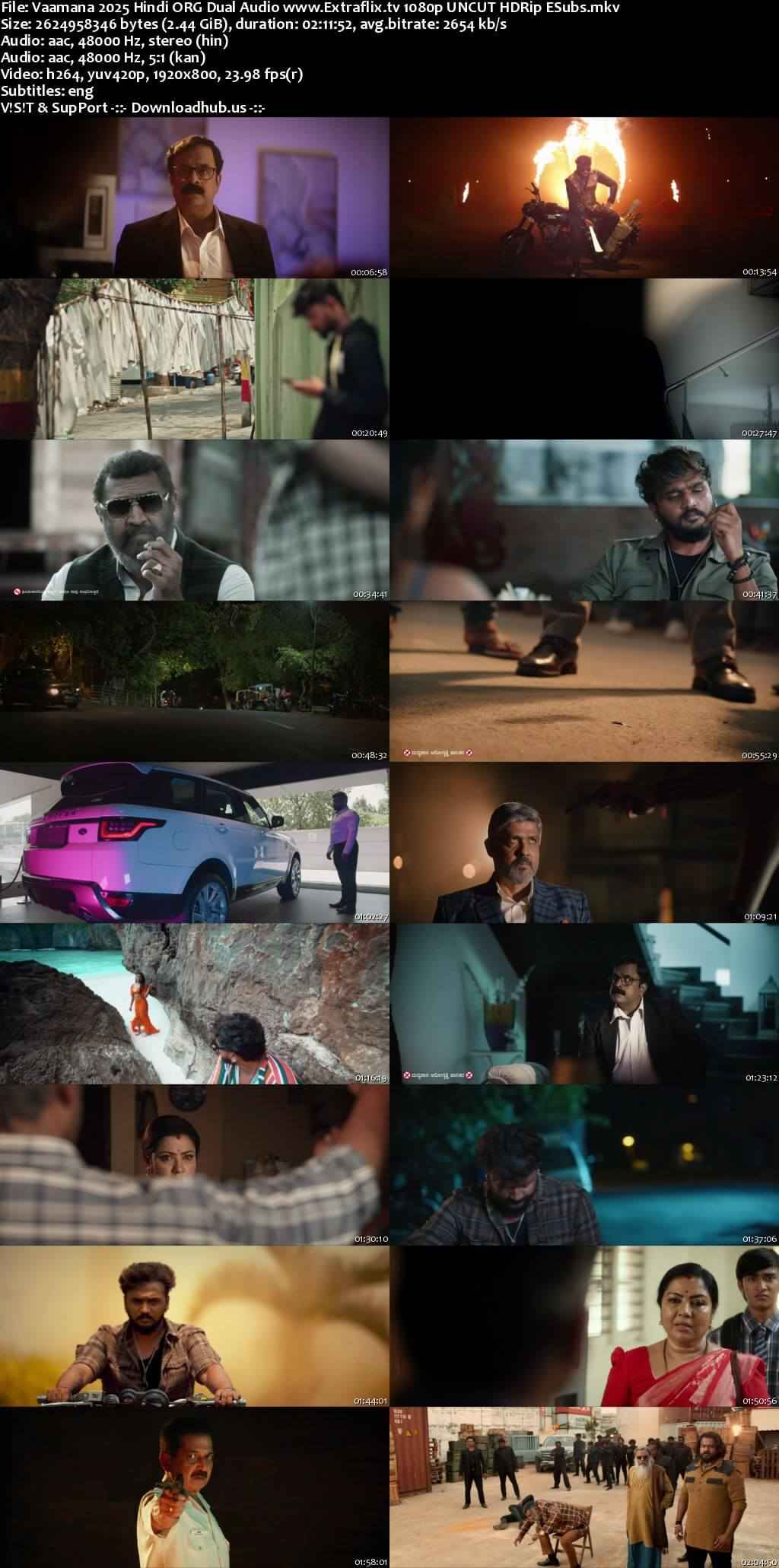 Vaamana 2025 Hindi ORG Dual Audio Movie DD2.0 1080p 720p 480p UNCUT HDRip ESubs HEVC