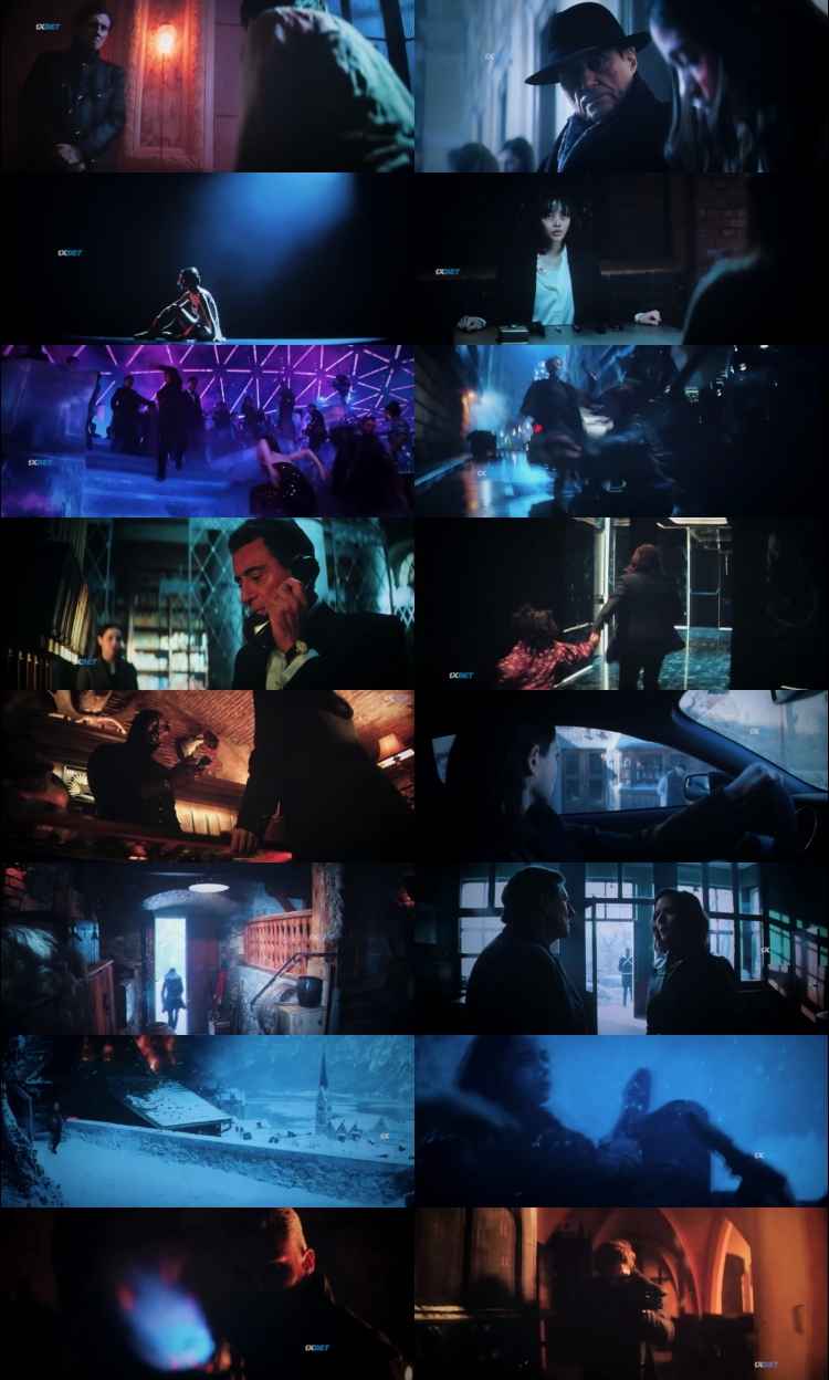 Love karu Yaa Shaadi 2025 Hindi Movie 1080p 720p 480p HDTC x264 HEVC