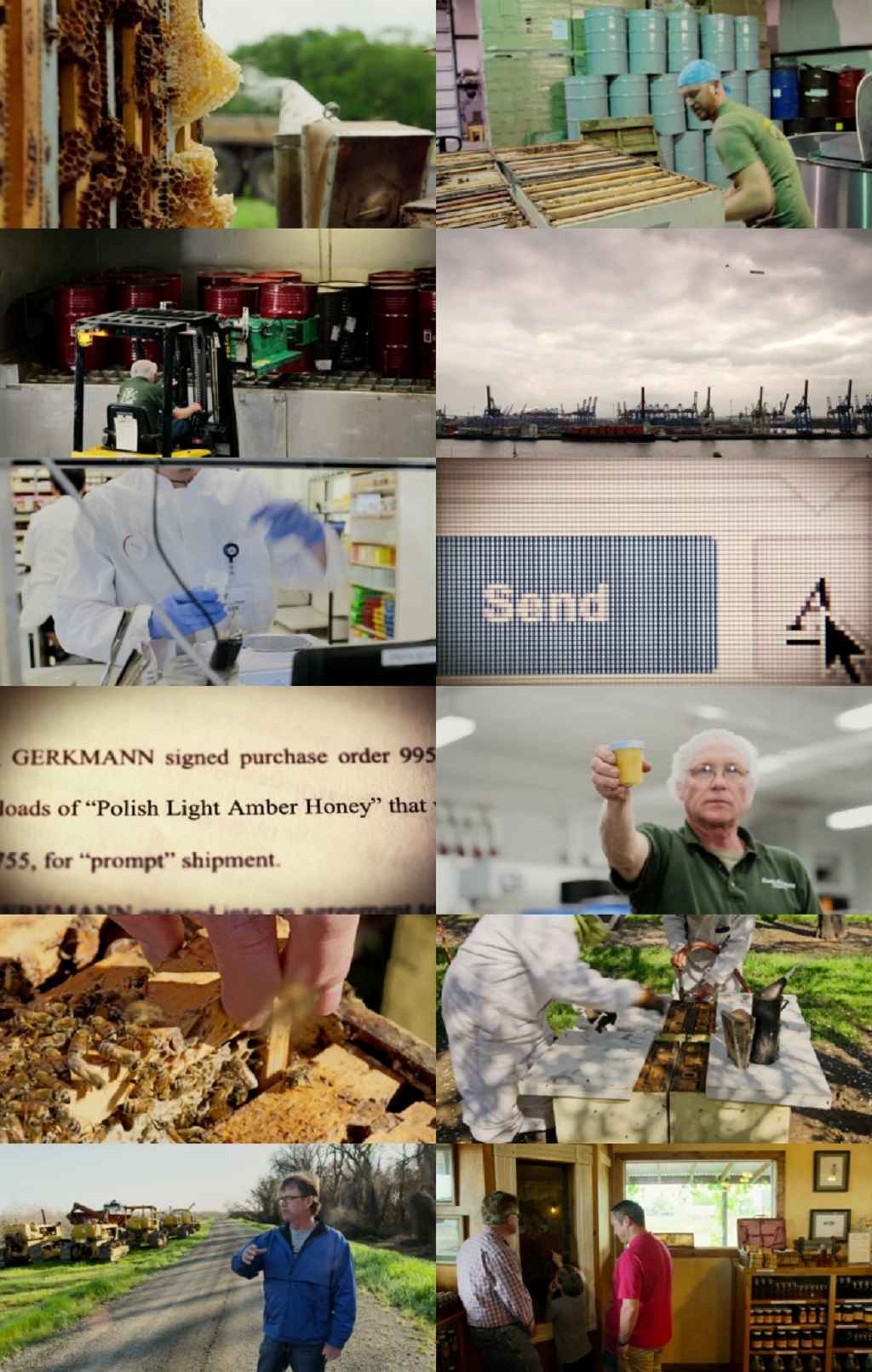 One Piece 2018 S01 Complete Hindi Dual Audio 1080p 720p 480p Web-DL ESubs One Piece 2018 S01 Complete Hindi Dual Audio 1080p 720p 480p Web-DL ESubs