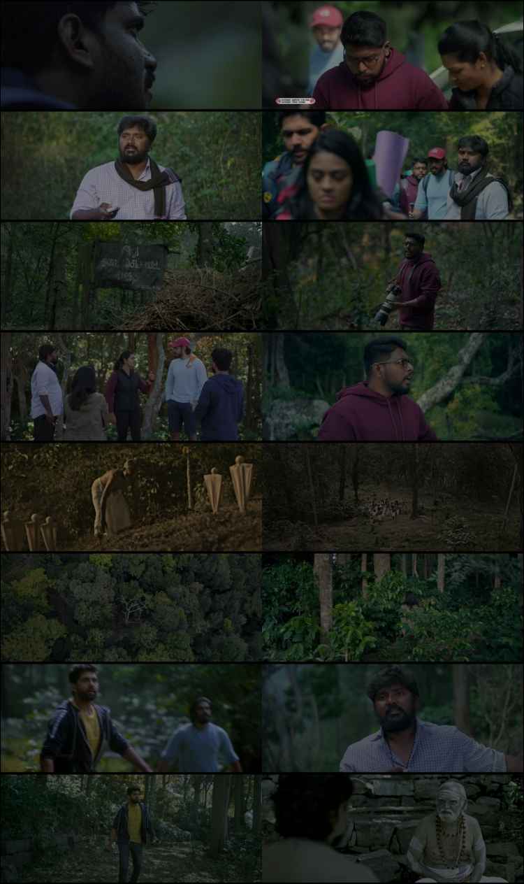 Pechi 2024 Hindi ORG Dual Audio Movie DD2.0 1080p 720p 480p UNCUT HDRip ESubs x264 HEVC