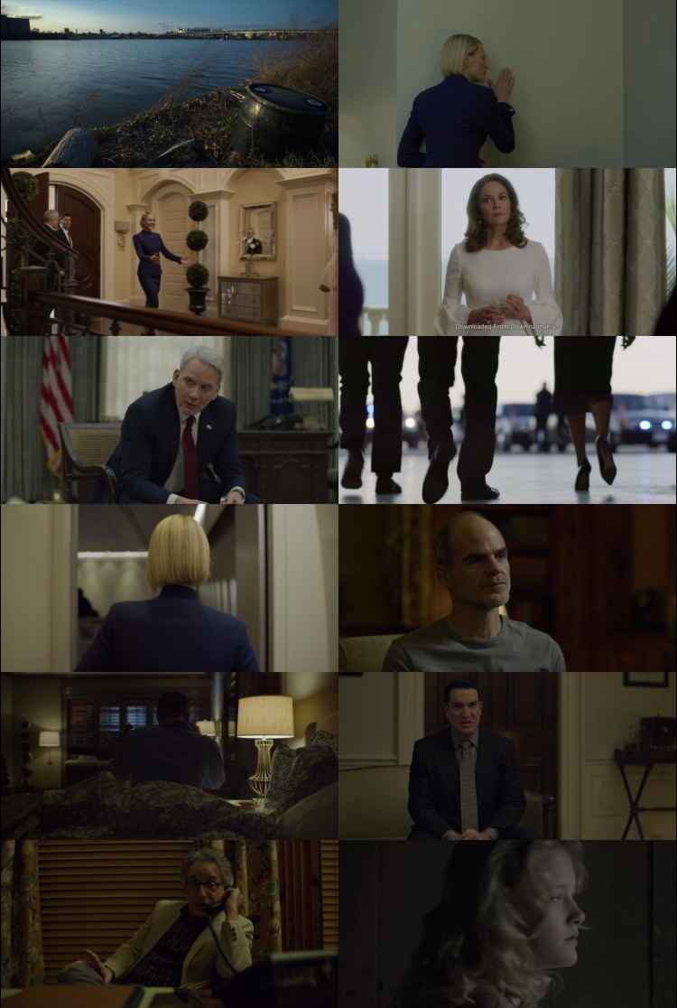 One Piece 2018 S06 Complete Hindi Dual Audio 1080p 720p 480p Web-DL MSubs