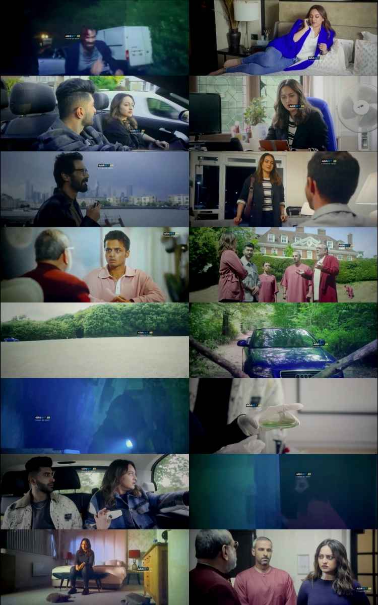 Love karu Yaa Shaadi 2025 Hindi Movie 1080p 720p 480p HDTS x264 HEVC