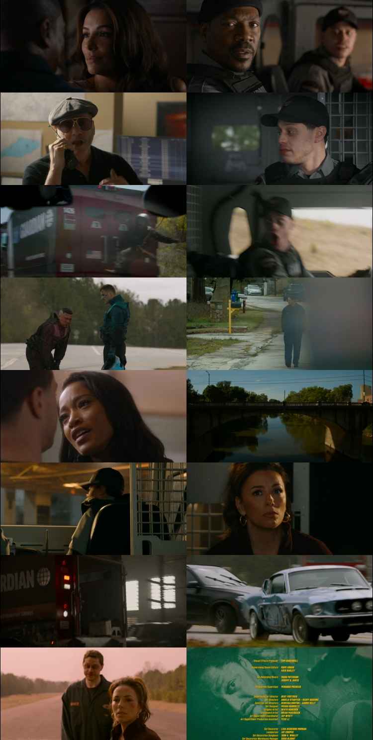 The Pickup 2025 Hindi Dual Audio Web-DL Full Movie Download