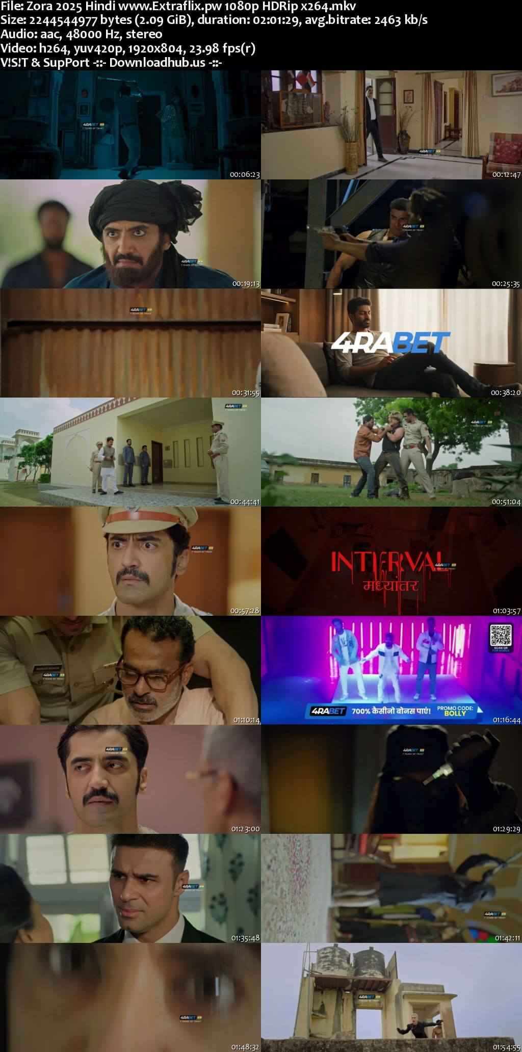 Zora 2025 Hindi Movie DD2.0 1080p 720p 480p HDRip x264 HEVC