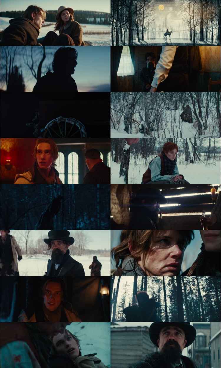 The Thicket 2024 Hindi Dual Audio BRRip Full Movie Download