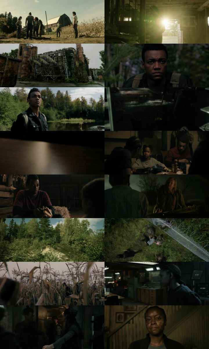 40 Acres 2025 Hindi ORG Dual Audio Movie DD5.1 1080p 720p 480p Web-DL x264 ESubs HEVC 40 Acres 2025 Hindi ORG Dual Audio Movie DD5.1 1080p 720p 480p Web-DL x264 ESubs HEVC