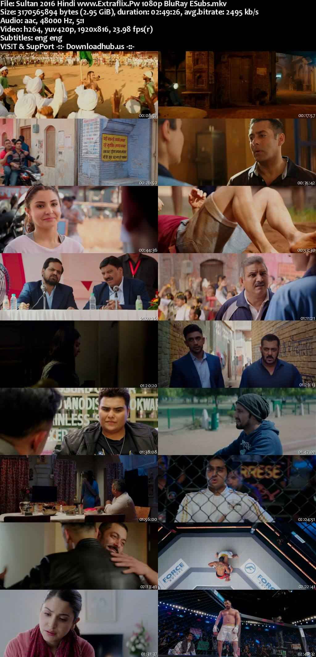 Sultan 2016 Hindi Movie DD5.1 4k 1080p 720p 480p BluRay ESubs x264 HEVC