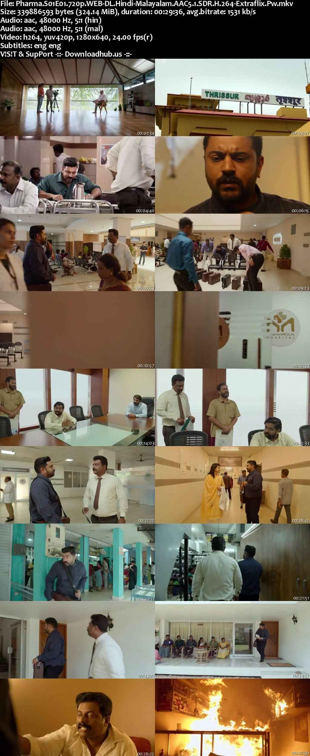 Pharma 2025 S01 Complete Hindi Dual Audio 1080p 720p 480p Web-DL ESubs