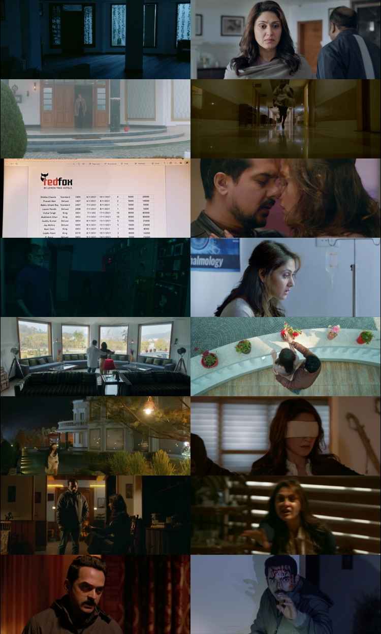 Adrushya 2022 Hindi ORG Dual Audio Movie DD2.0 1080p 720p 480p UNCUT HDRip ESubs x264 HEVC