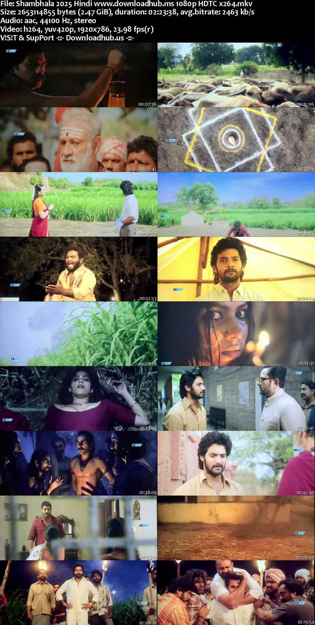 Shambhala 2025 Hindi Movie 1080p 720p 480p HDTC x264 HEVC