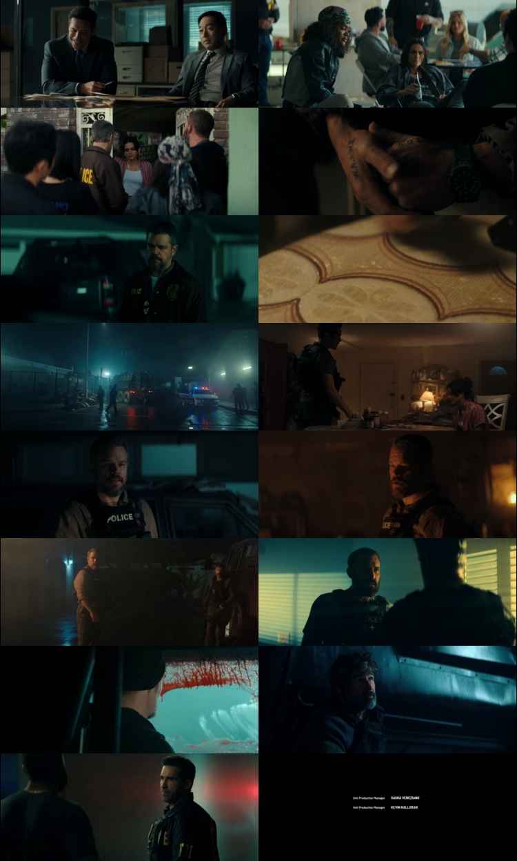 The Rip 2026 Hindi ORG Dual Audio Movie DD5.1 1080p 720p 480p Web-DL x264 ESubs HEVC