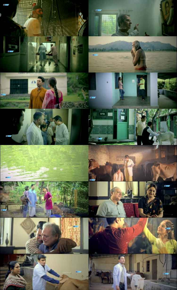 Godaan 2026 Hindi Movie 1080p 720p 480p HDTC x264 HEVC