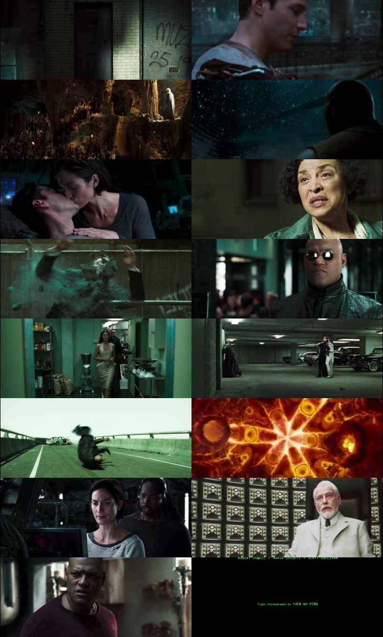 The Matrix Reloaded 2003 Hindi ORG Dual Audio Movie DD5.1 1080p 720p 480p BluRay ESubs x264