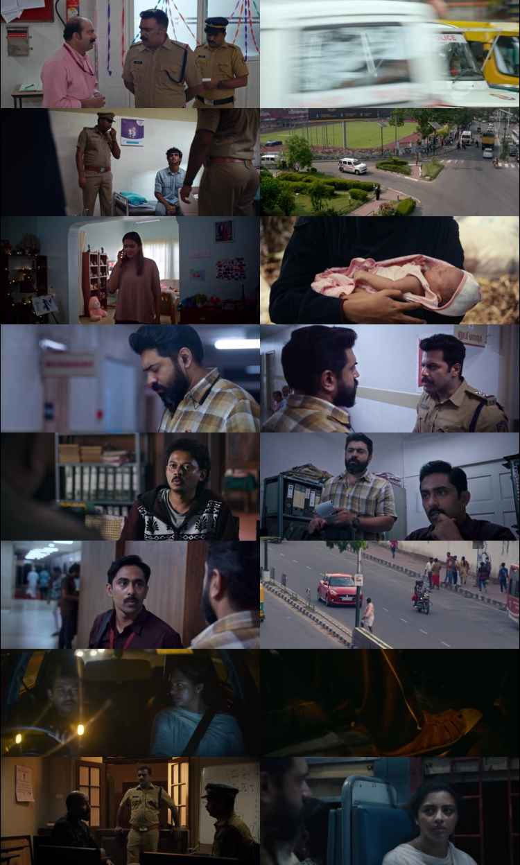 Baby Girl 2026 Hindi ORG Dual Audio Movie DD5.1 1080p 720p 480p UNCUT HDRip ESubs HEVC