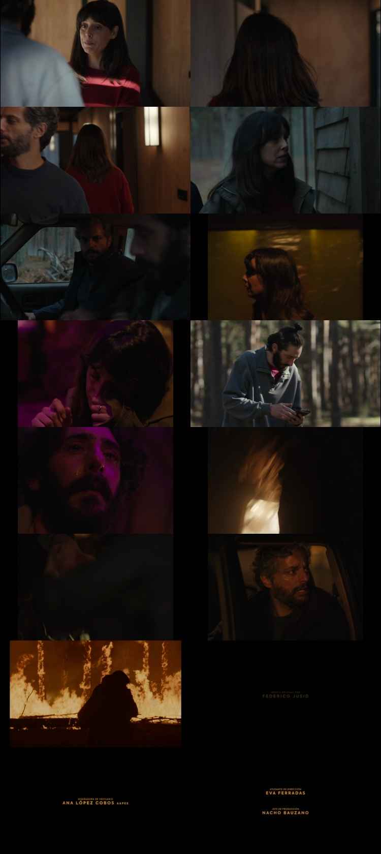 Firebreaker 2026 Hindi ORG Dual Audio Movie DD5.1 1080p 720p 480p Web-DL x264 ESubs HEVC