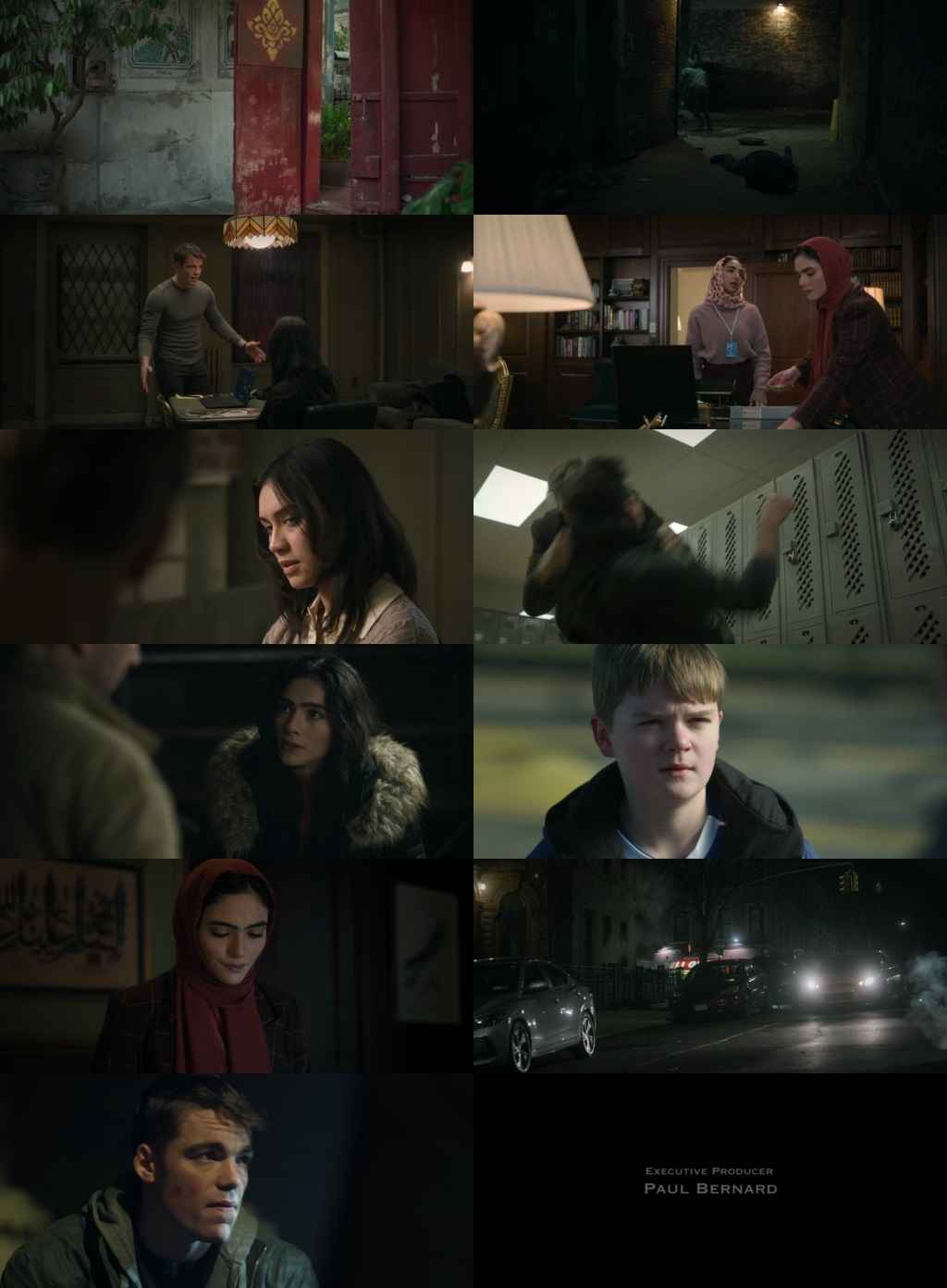 Stranger Things 2025 S05 Complete Hindi Dual Audio 1080p 720p 480p Web-DL ESubs