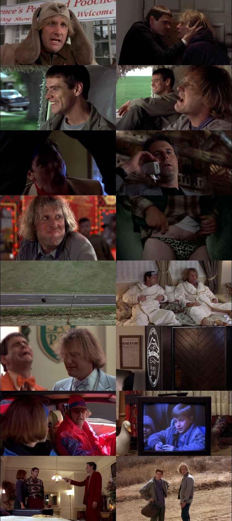 Dumb and Dumber 1994 Hindi ORG Dual Audio Movie DD5.1 1080p 720p 480p BluRay ESubs x264