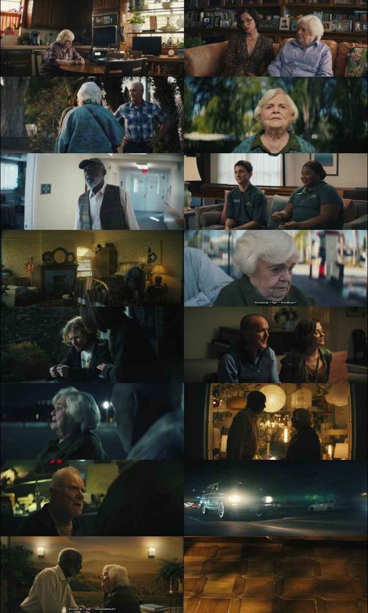 Thelma 2024 Hindi ORG Dual Audio Movie DD5.1 1080p 720p 480p Web-DL x264 ESubs HEVC