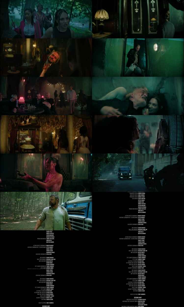 Pretty Lethal 2026 Hindi ORG Dual Audio Movie DD5.1 1080p 720p 480p Web-DL x264 ESubs HEVC