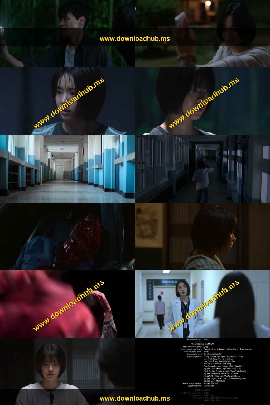 Stranger Things 2025 S05 Complete Hindi Dual Audio 1080p 720p 480p Web-DL ESubs