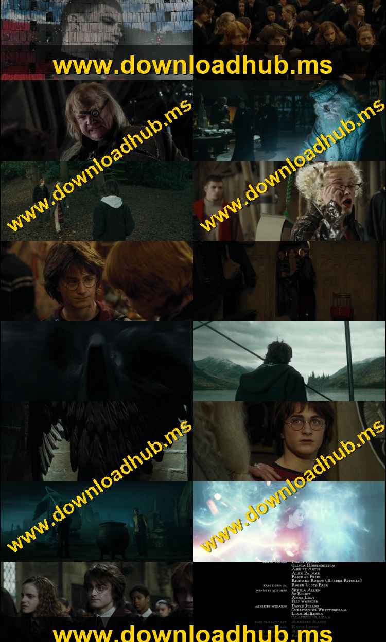 Harry Potter and the Goblet of Fire 2005 Hindi ORG Dual Audio Movie DD5.1 1080p 720p 480p BluRay ESubs x264