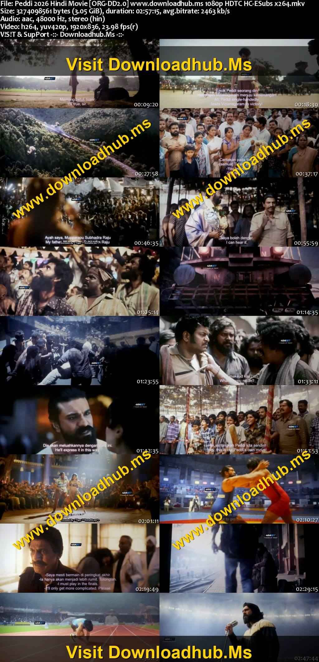 Peddi 2026 Hindi Movie 1080p 720p 480p HDTC HC-ESubs x264 HEVC