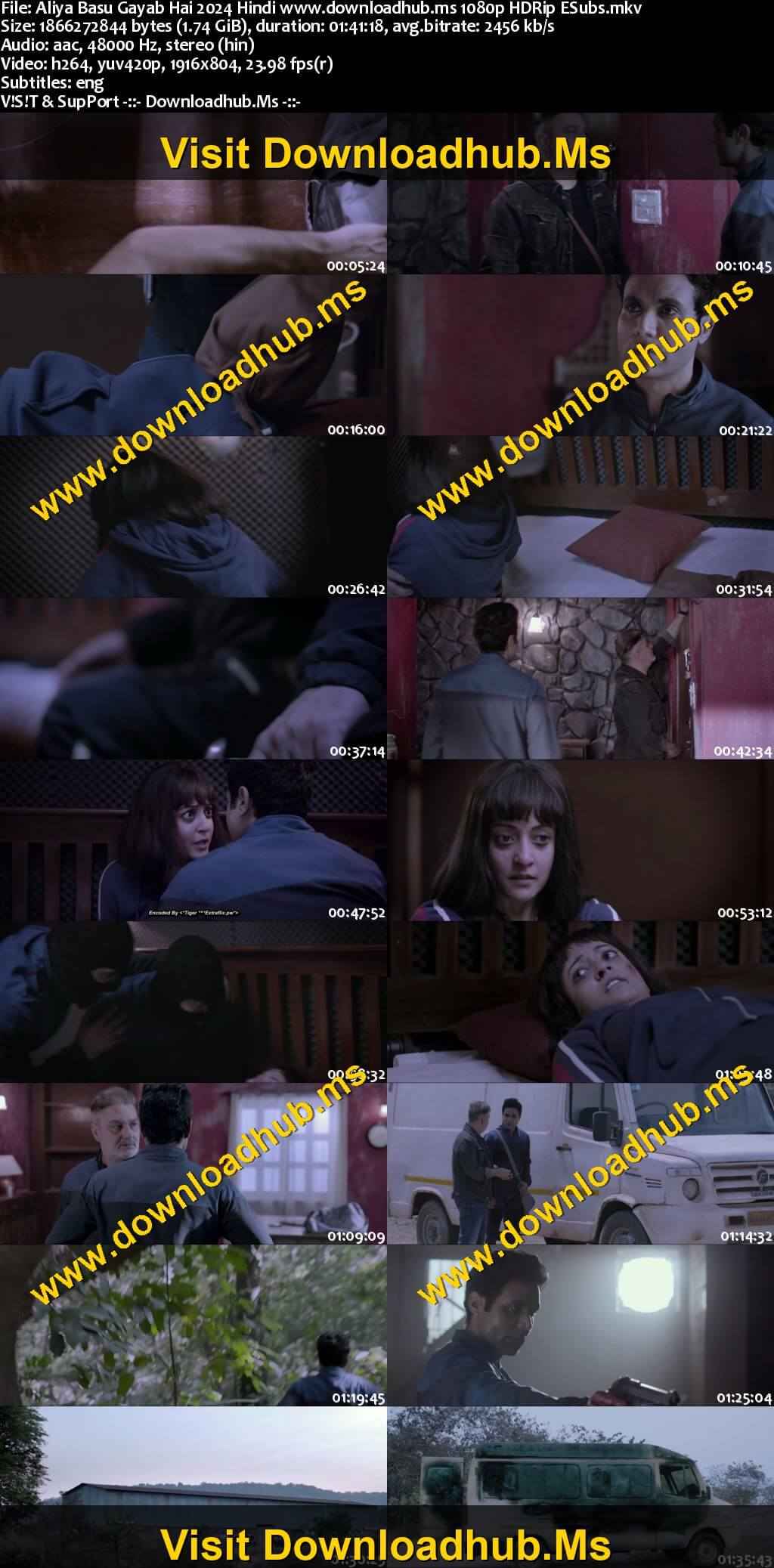 Aliya Basu Gayab Hai 2024 Hindi Movie DD2.0 1080p 720p 480p HDRip ESubs x264 HEVC