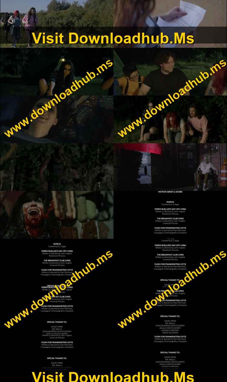 Shiver Me Timbers 2025 Hindi ORG Dual Audio Movie DD2.0 1080p 720p 480p Web-DL x264 ESubs HEVC