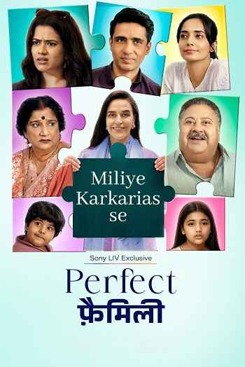 Perfect Family 2025 S01 Complete Hindi Dual Audio 1080p 720p 480p Web-DL ESubs [EP-06 Added]
