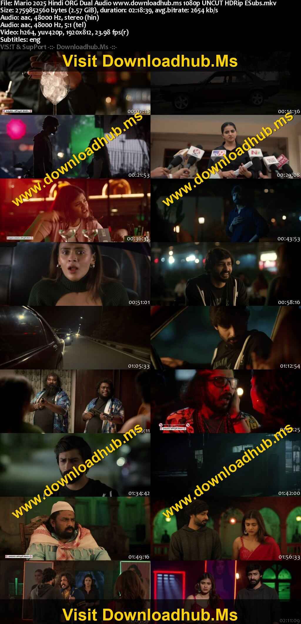 Mario 2025 Hindi ORG Dual Audio Movie DD2.0 1080p 720p 480p UNCUT HDRip ESubs x264 HEVC